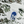 Load image into Gallery viewer, 6 Month Prepaid - 1 Month Free with Promo Code 'BFSUB'