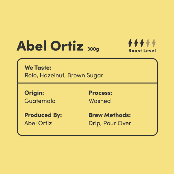 Abel Ortiz (Washed) - Guatemala